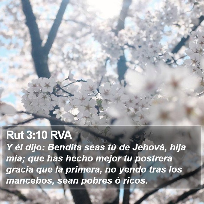 Rut 3:10 RVA Bible Study