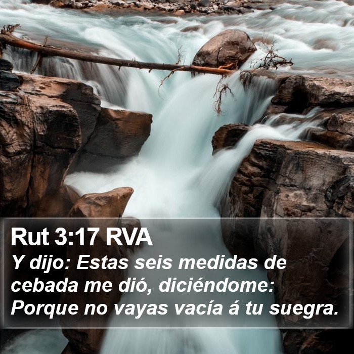 Rut 3:17 RVA Bible Study