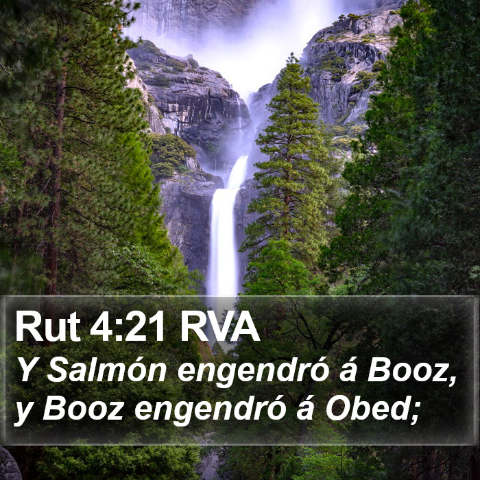 Rut 4:21 RVA Bible Study