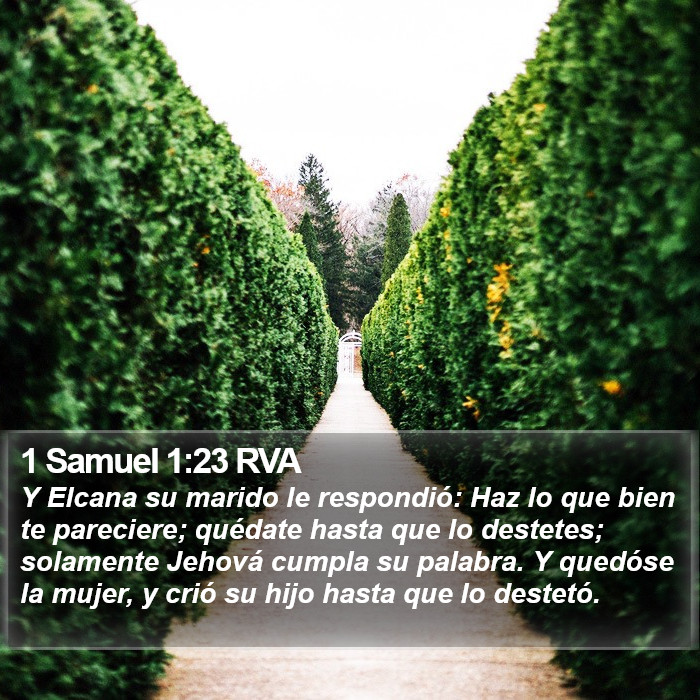 1 Samuel 1:23 RVA Bible Study