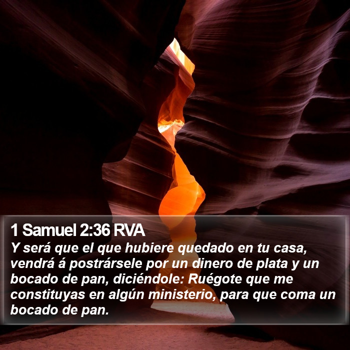 1 Samuel 2:36 RVA Bible Study