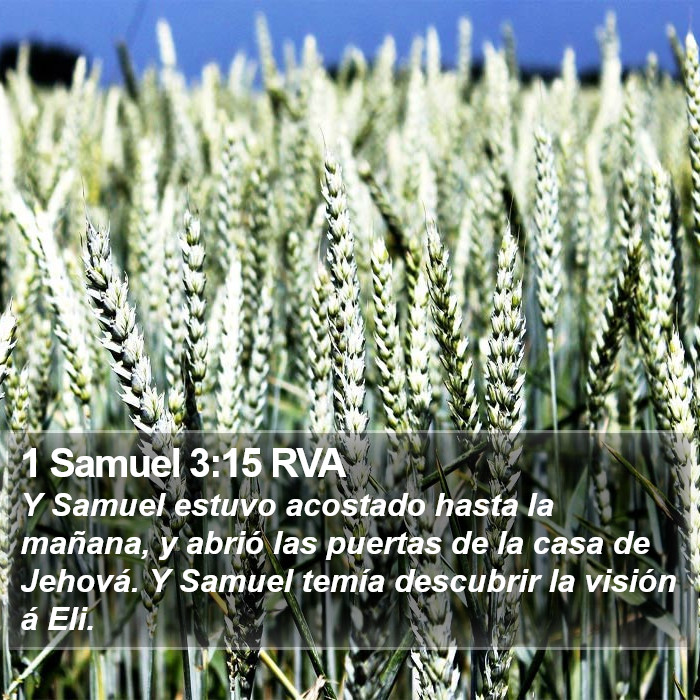 1 Samuel 3:15 RVA Bible Study