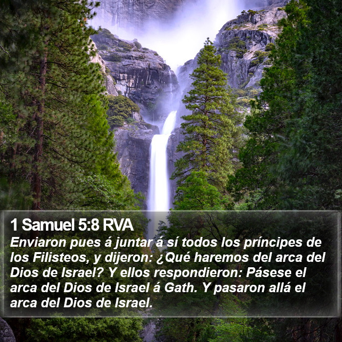 1 Samuel 5:8 RVA Bible Study