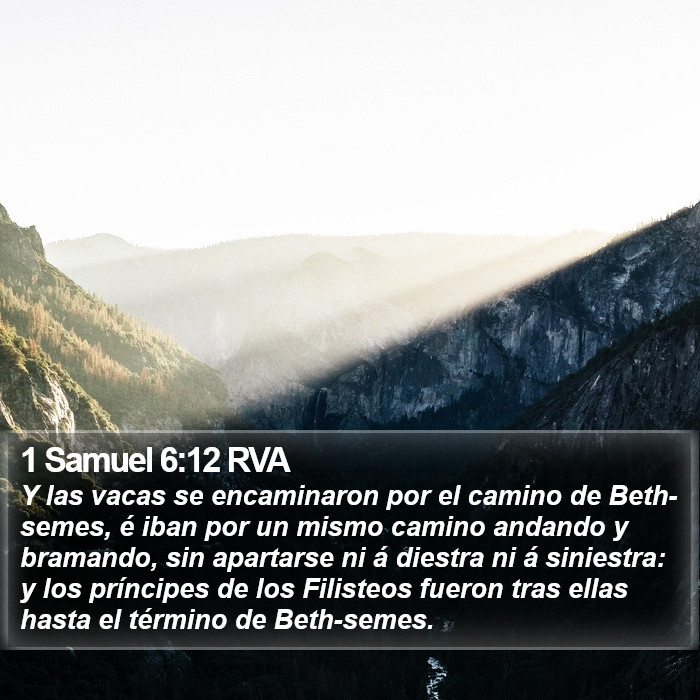 1 Samuel 6:12 RVA Bible Study