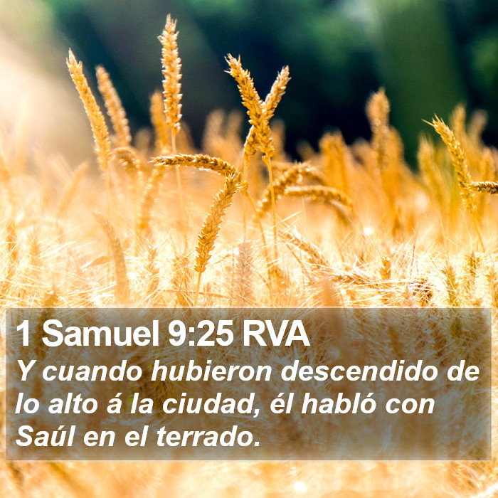 1 Samuel 9:25 RVA Bible Study