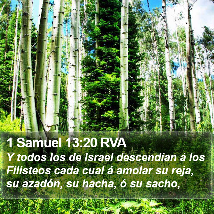 1 Samuel 13:20 RVA Bible Study