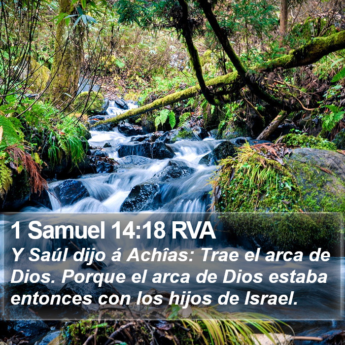 1 Samuel 14:18 RVA Bible Study