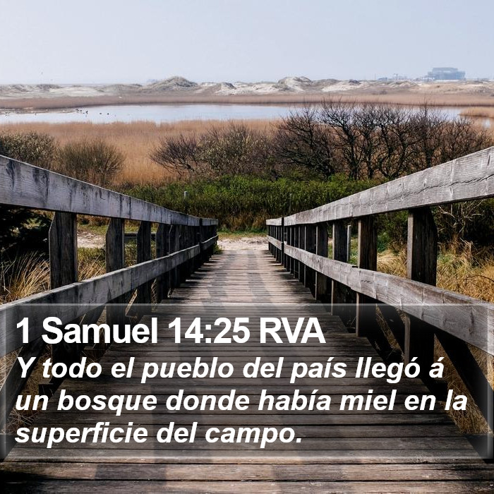 1 Samuel 14:25 RVA Bible Study