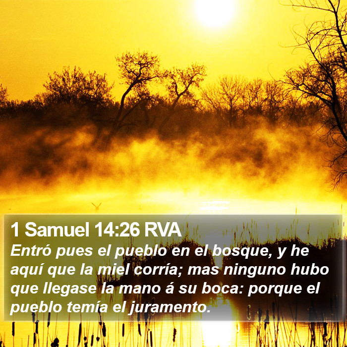 1 Samuel 14:26 RVA Bible Study
