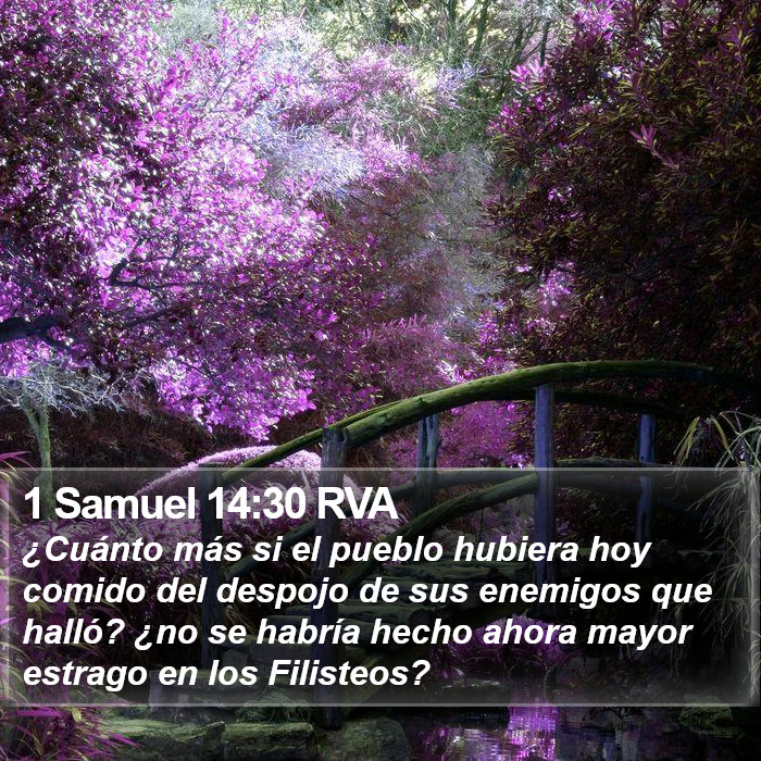 1 Samuel 14:30 RVA Bible Study
