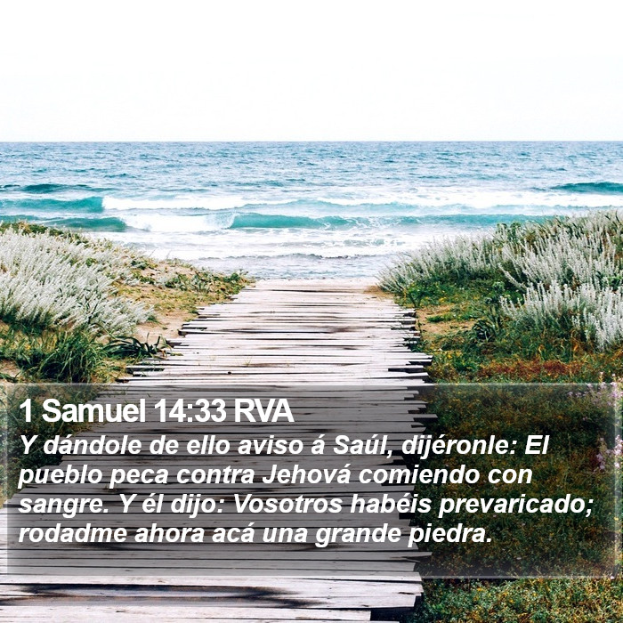 1 Samuel 14:33 RVA Bible Study
