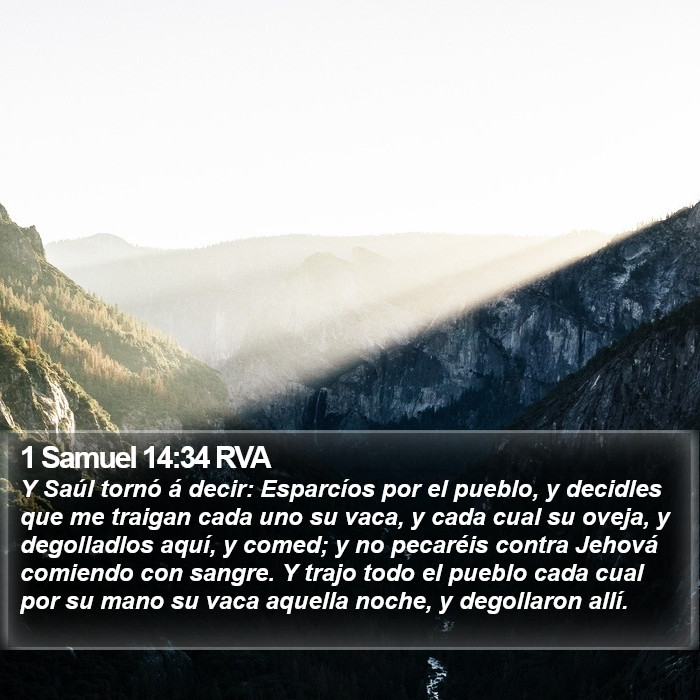 1 Samuel 14:34 RVA Bible Study