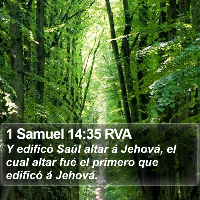 1 Samuel 14:35 RVA Bible Study