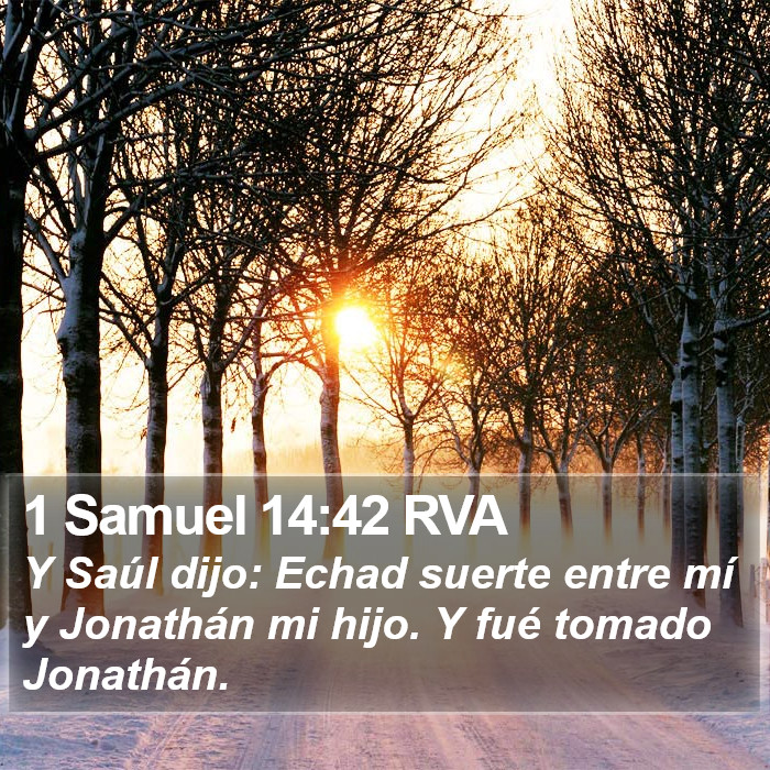 1 Samuel 14:42 RVA Bible Study