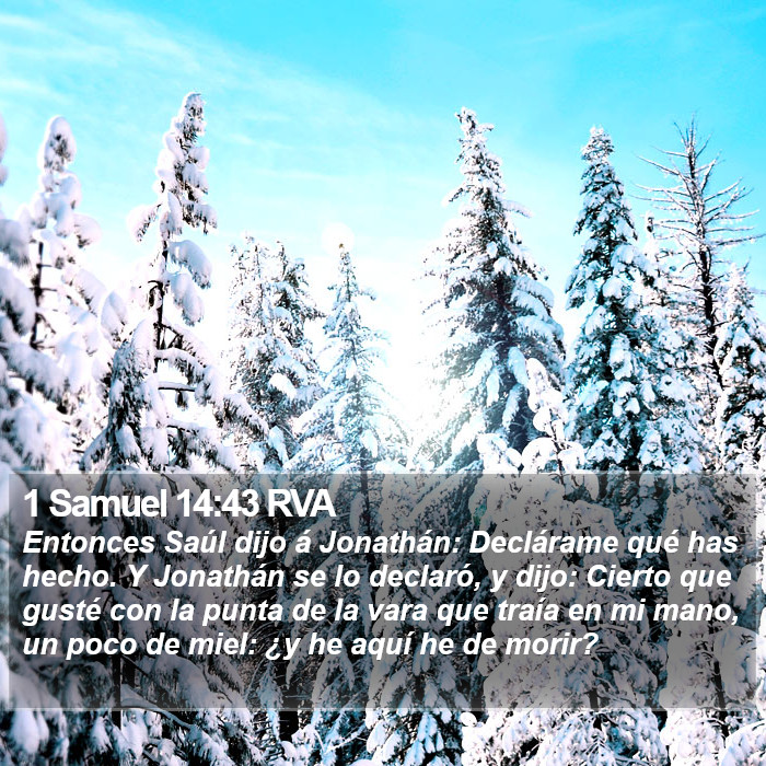 1 Samuel 14:43 RVA Bible Study