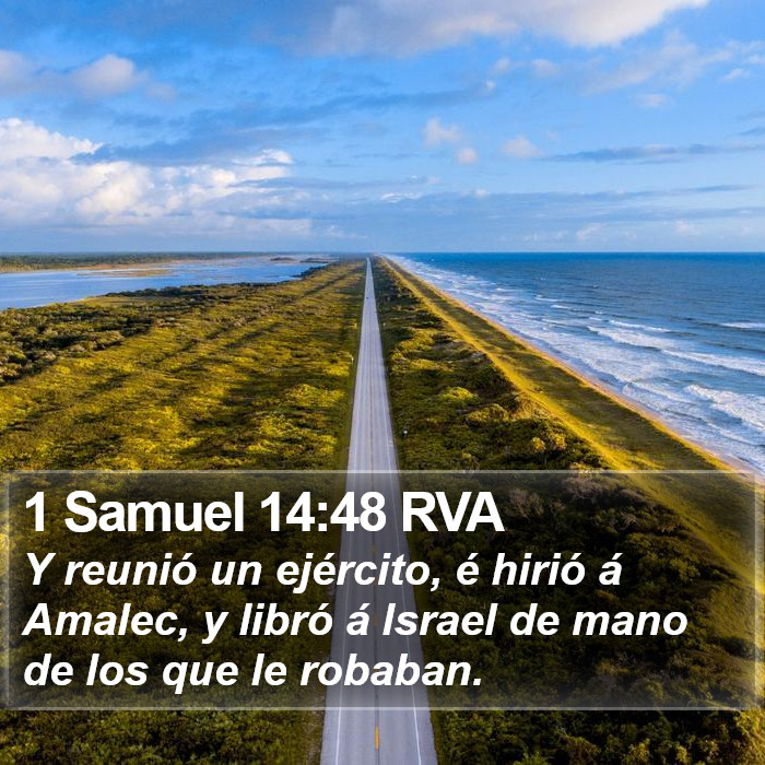 1 Samuel 14:48 RVA Bible Study