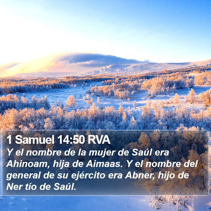 1 Samuel 14:50 RVA Bible Study