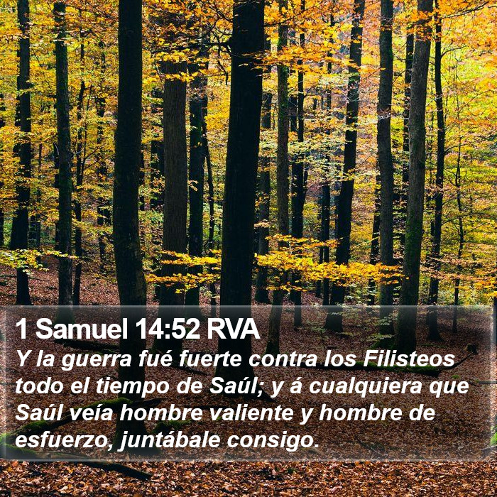 1 Samuel 14:52 RVA Bible Study