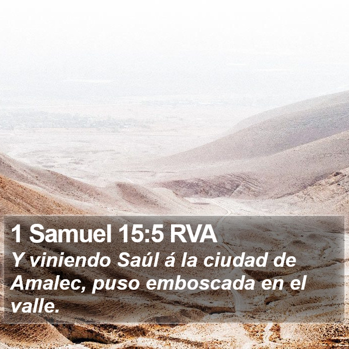 1 Samuel 15:5 RVA Bible Study