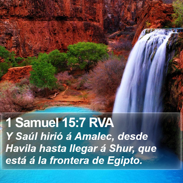 1 Samuel 15:7 RVA Bible Study