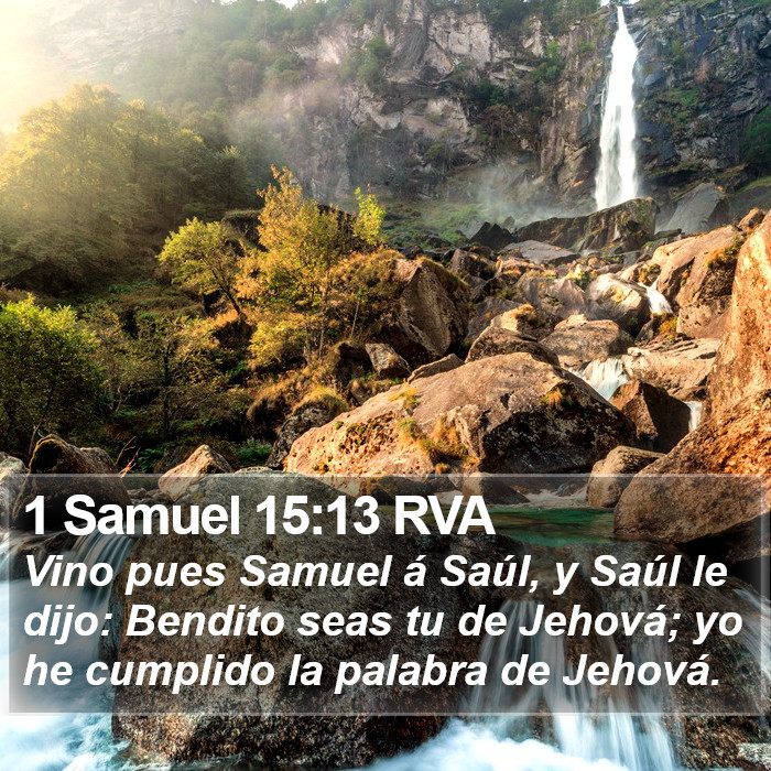 1 Samuel 15:13 RVA Bible Study