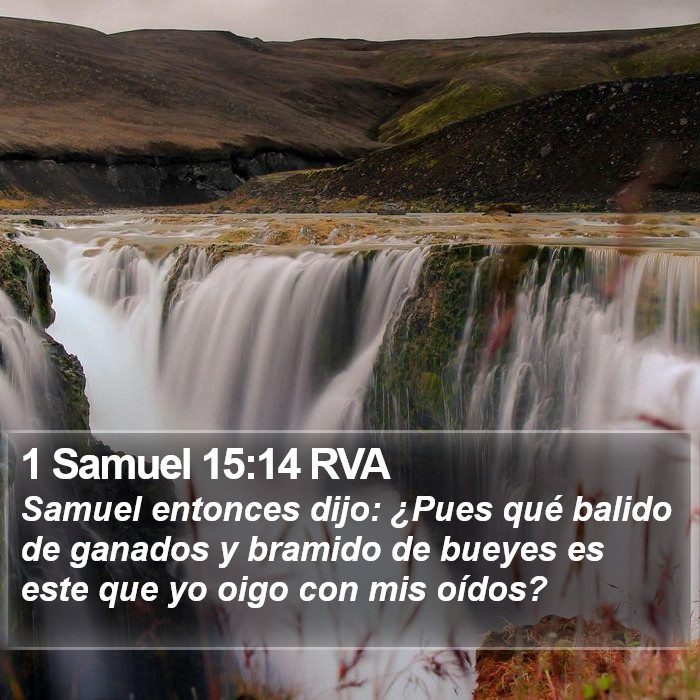 1 Samuel 15:14 RVA Bible Study