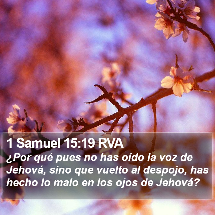 1 Samuel 15:19 RVA Bible Study