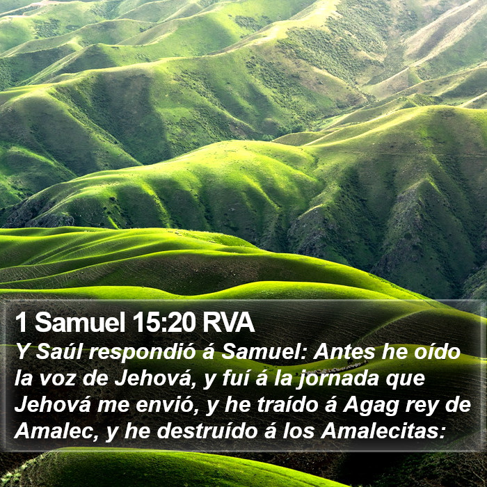 1 Samuel 15:20 RVA Bible Study