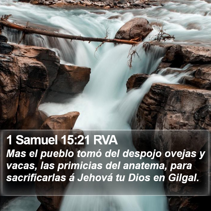 1 Samuel 15:21 RVA Bible Study