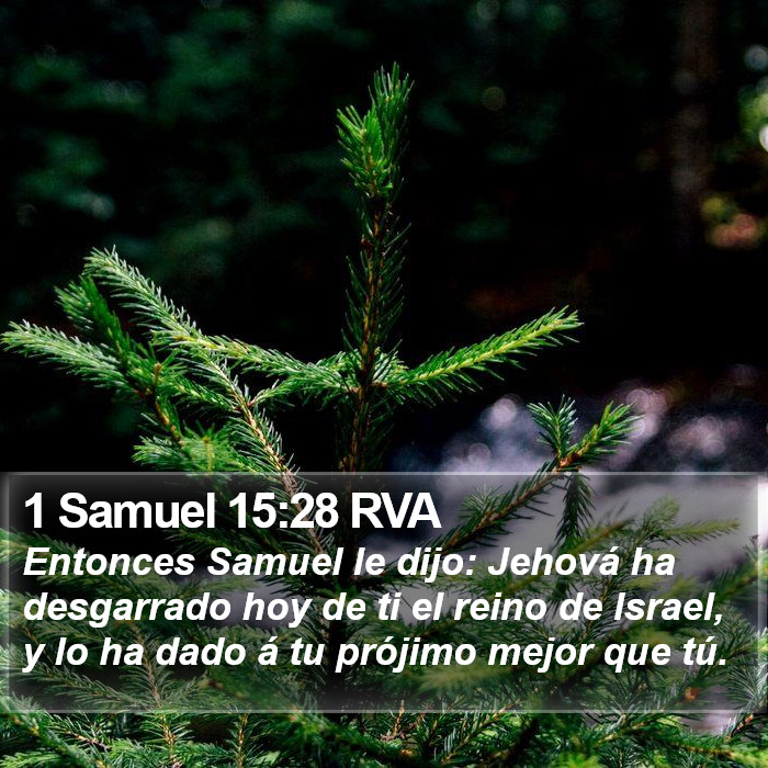 1 Samuel 15:28 RVA Bible Study