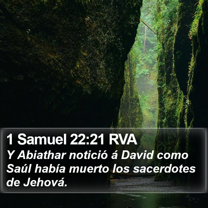 1 Samuel 22:21 RVA Bible Study