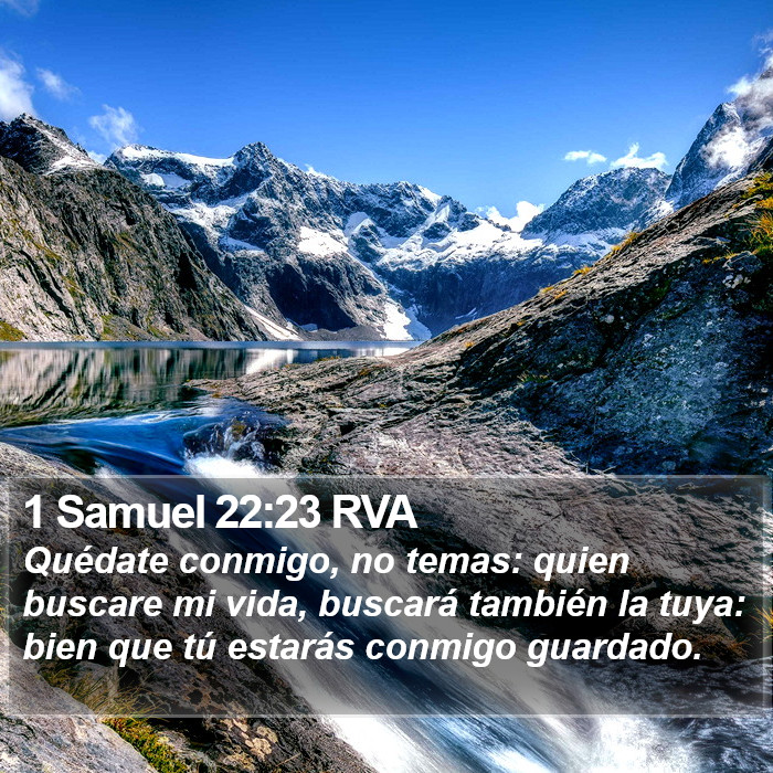 1 Samuel 22:23 RVA Bible Study