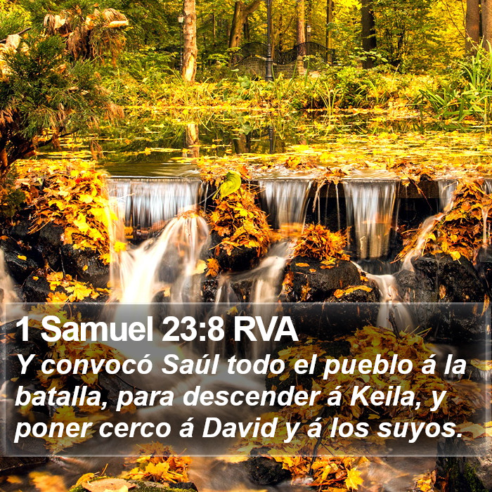 1 Samuel 23:8 RVA Bible Study