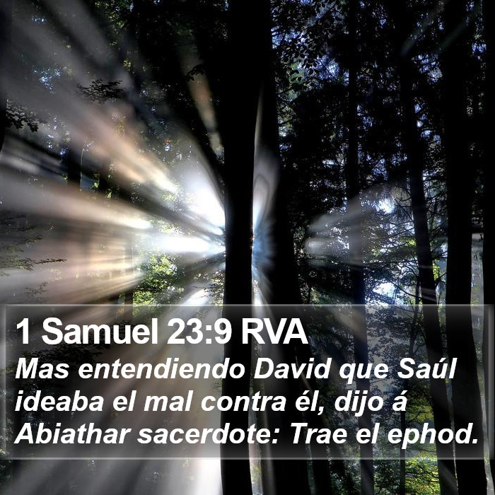 1 Samuel 23:9 RVA Bible Study