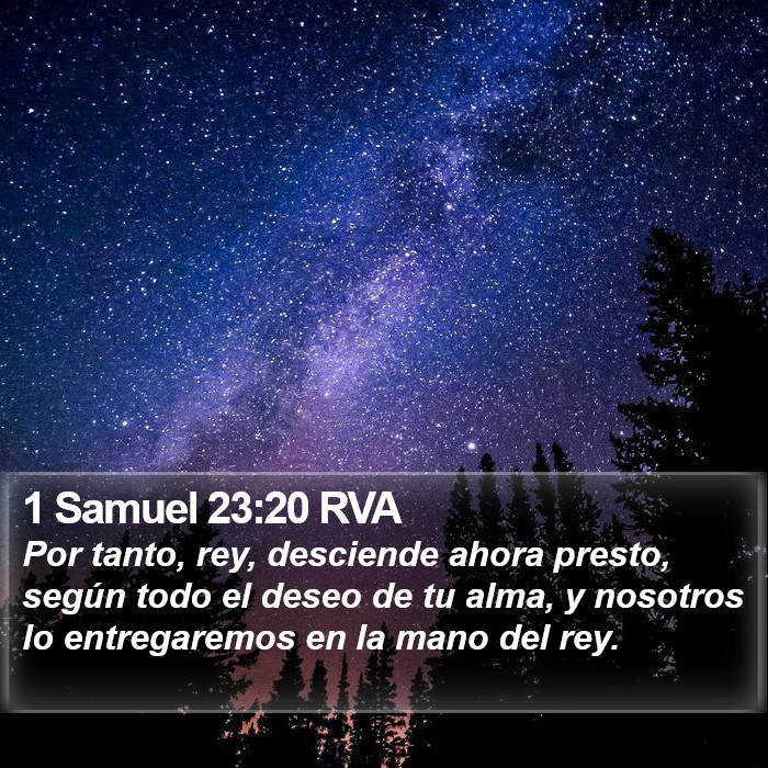 1 Samuel 23:20 RVA Bible Study