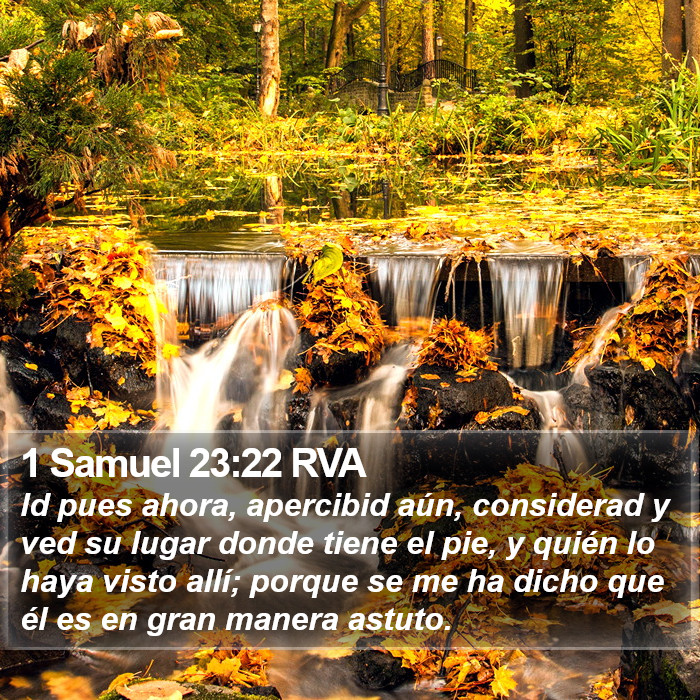 1 Samuel 23:22 RVA Bible Study