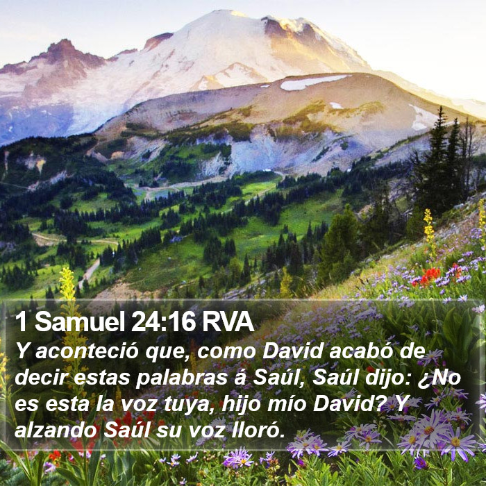 1 Samuel 24:16 RVA Bible Study