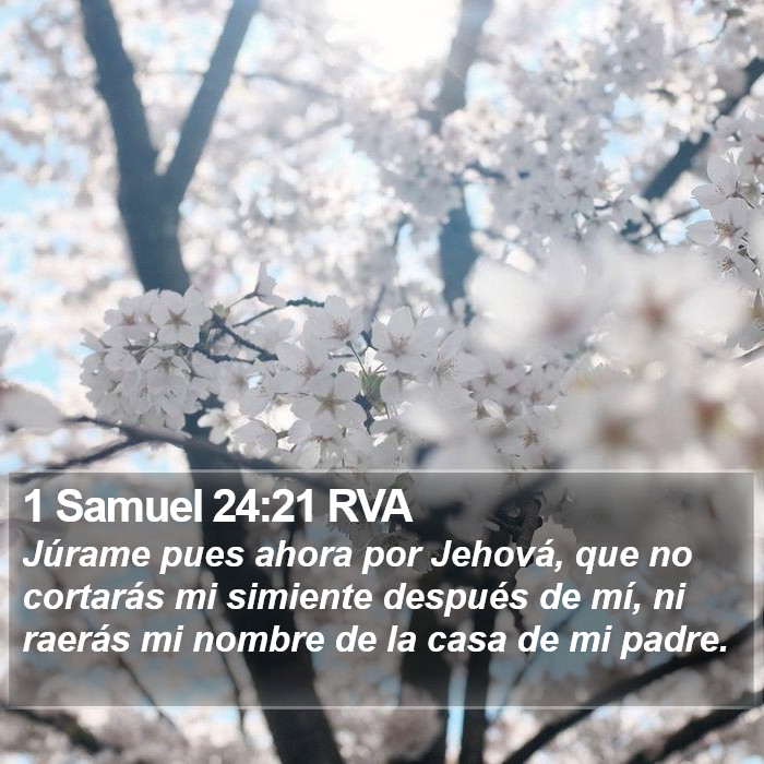 1 Samuel 24:21 RVA Bible Study