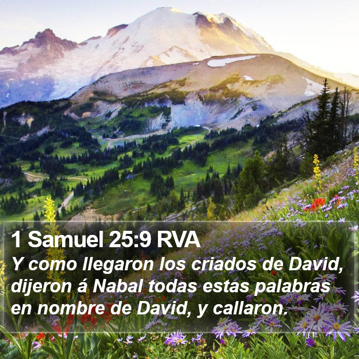 1 Samuel 25:9 RVA Bible Study