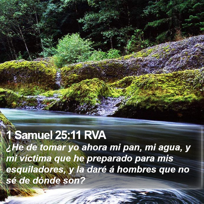 1 Samuel 25:11 RVA Bible Study