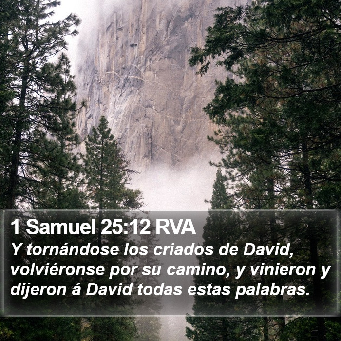 1 Samuel 25:12 RVA Bible Study