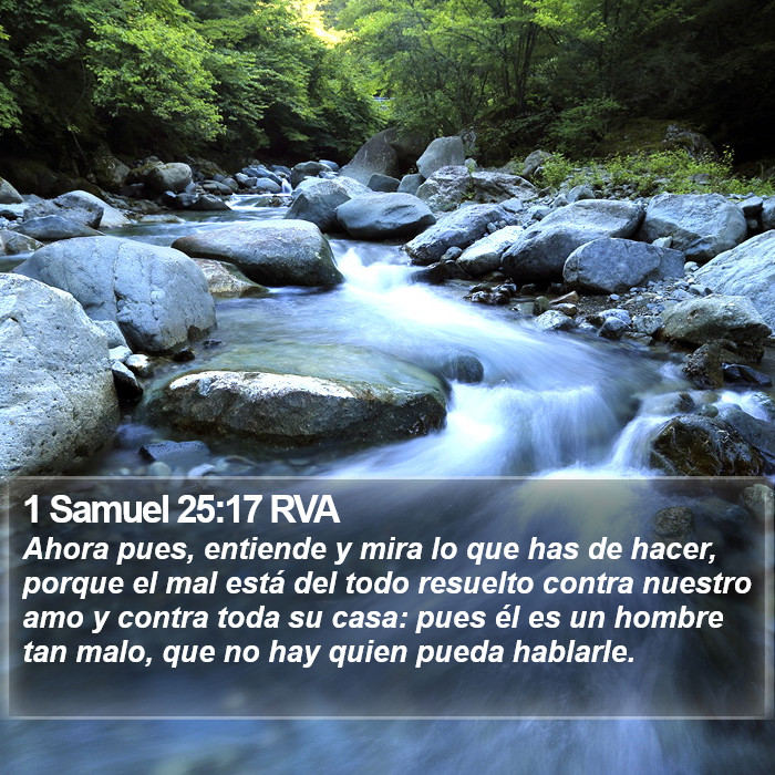 1 Samuel 25:17 RVA Bible Study