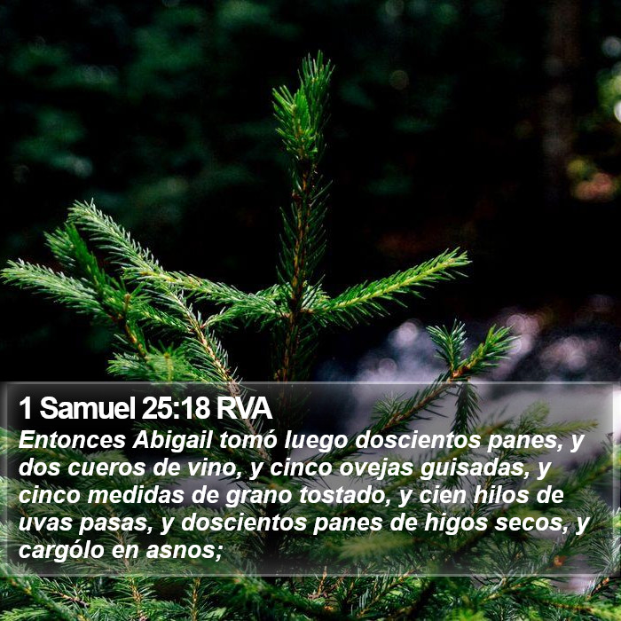 1 Samuel 25:18 RVA Bible Study