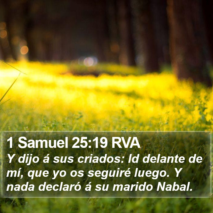 1 Samuel 25:19 RVA Bible Study