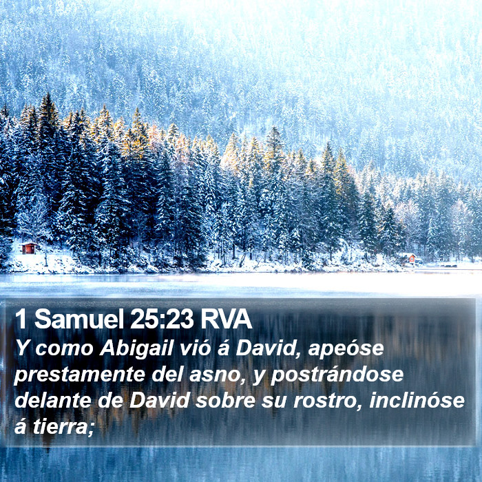 1 Samuel 25:23 RVA Bible Study