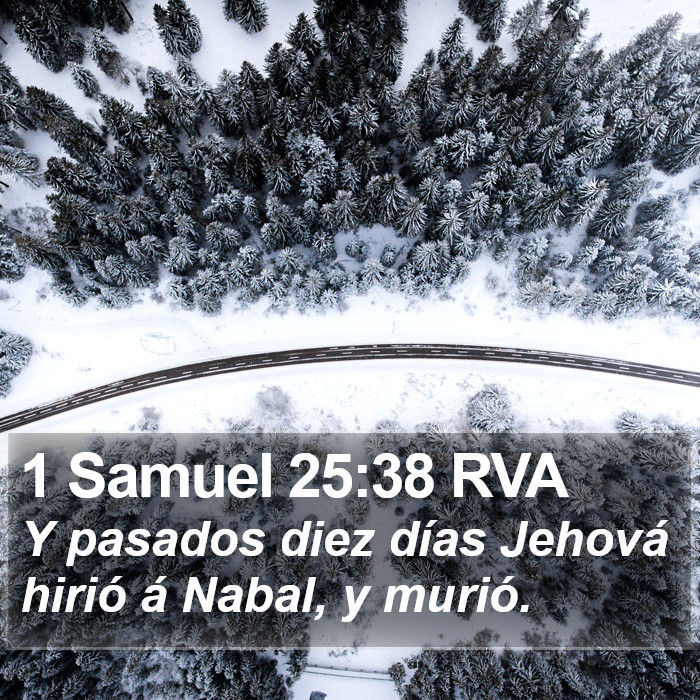 1 Samuel 25:38 RVA Bible Study