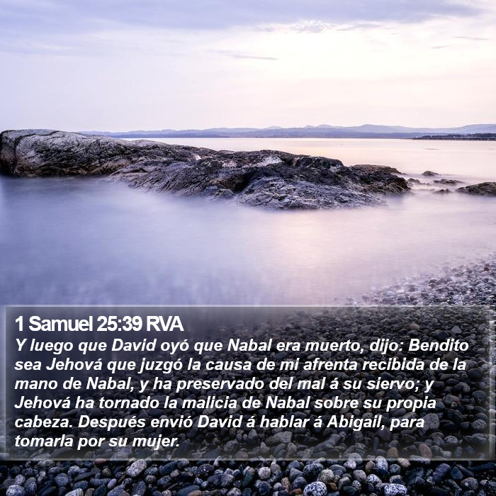 1 Samuel 25:39 RVA Bible Study