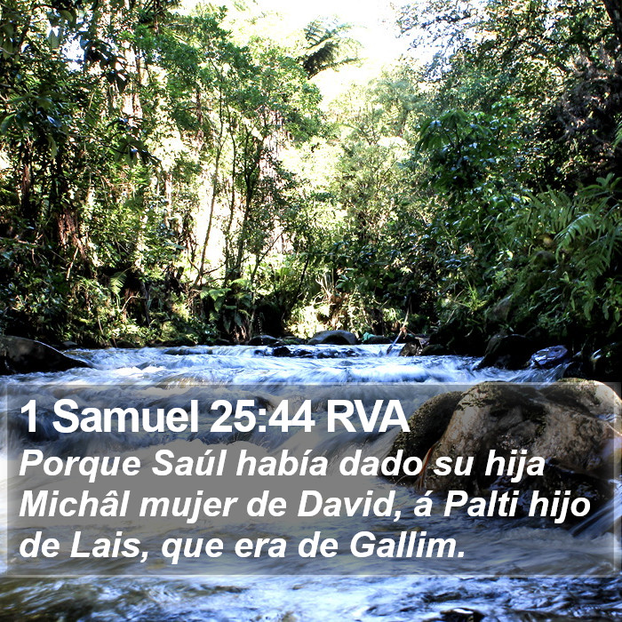 1 Samuel 25:44 RVA Bible Study