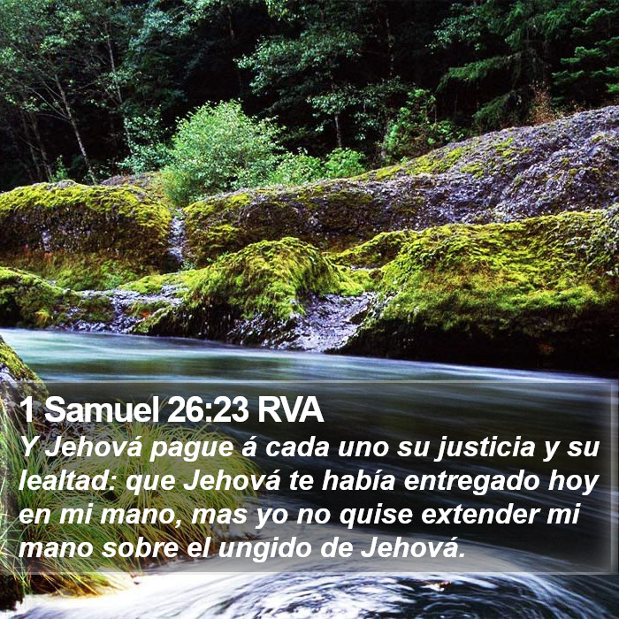 1 Samuel 26:23 RVA Bible Study