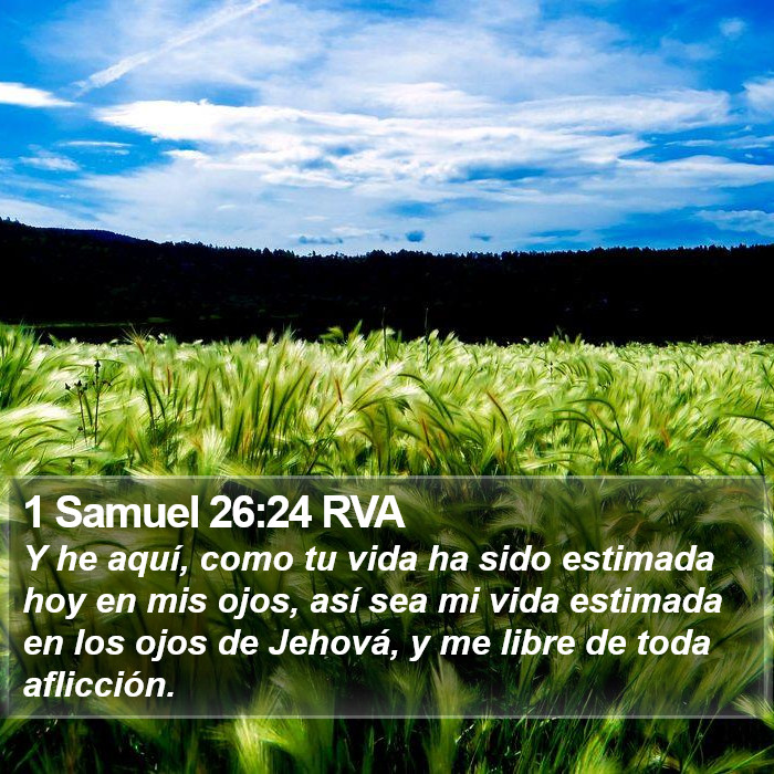 1 Samuel 26:24 RVA Bible Study